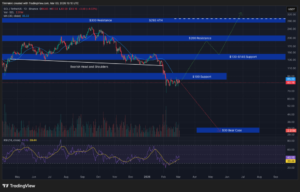 Crypto Buzz