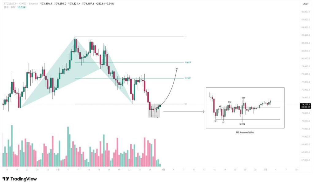 BTC Shows Bullish Bat Pattern
